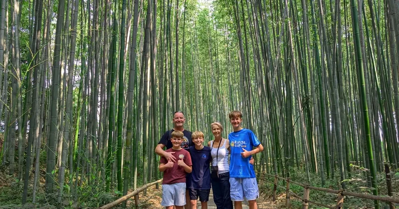 嵐山竹林と寺院、猿または酒蔵見学
