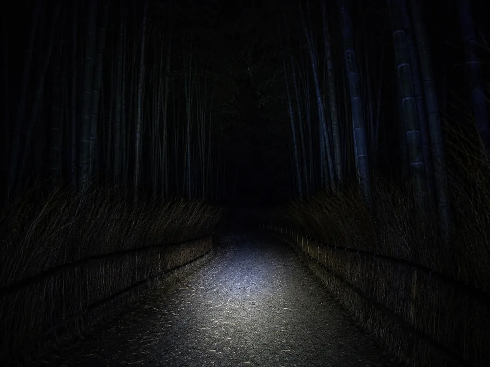 夕暮れ時、照明のない竹林はほとんど人がいません。