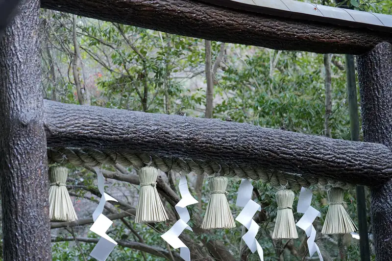 野宮神社の鳥居 — 樹皮を剥がしていない黒木の鳥居です。